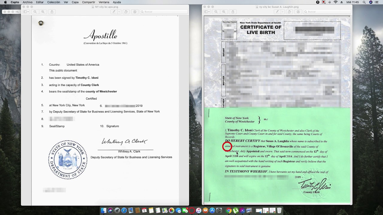 美国 Apostille（海牙认证）完整办理指南｜金桥翻译公证权威解析